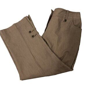 Brown Pin Striped Ankle Pants Petites 10P